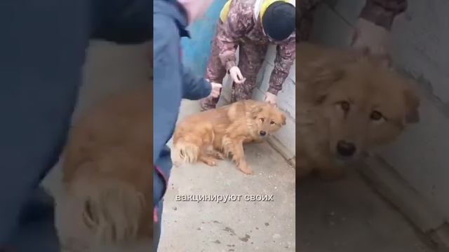 это важно знать смотреть онлайн