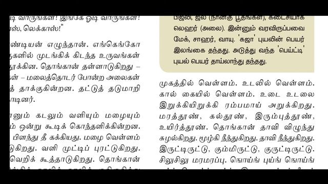 10Th Tamil (இயல்-2) புயலிலே ஒரு தோணி (கடல் சீற்றம் பற்றிய கதை) смотреть онлайн
