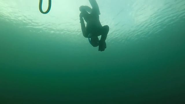 Traveling with fins смотреть онлайн