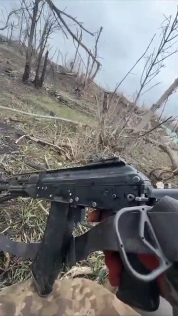жизнь.mp4 смотреть онлайн