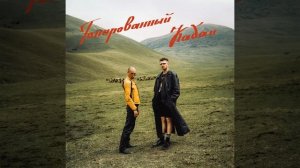 Тонированный Кабан