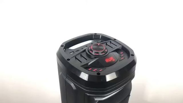 FEIYANG SPEAKER FG206-01