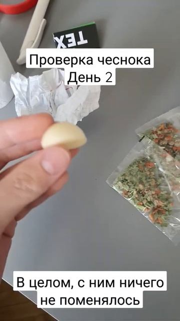 ПРОВЕРКА ЧЕСНОКА ДЕНЬ 2! ШОК ЧЕСНОК ЖИВОЙ! #эксперимент #minecraft #майнкрафт #shorts #slivki смотреть онлайн