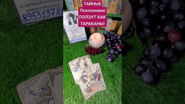 ТАЙНЫЕ ПОКЛОННИКИ❗️ ТАНЕЦ ТАРАКАНОВ❗️#shorts #таросиладуха #tarot #тайныйпоклонник смотреть онлайн