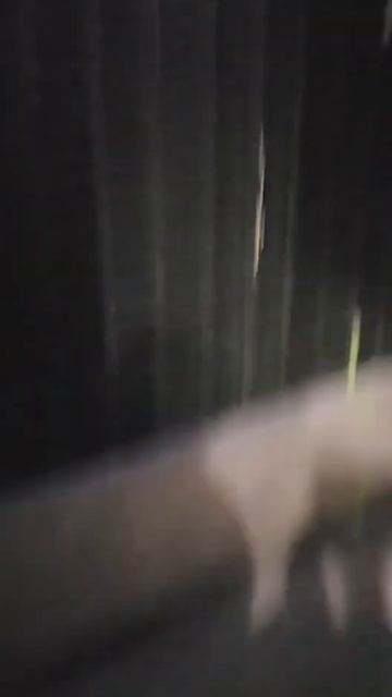 Smart Music Speaker Shower Head.ceiling Mounted.more Details Here : Mboenn.aliexpress.com