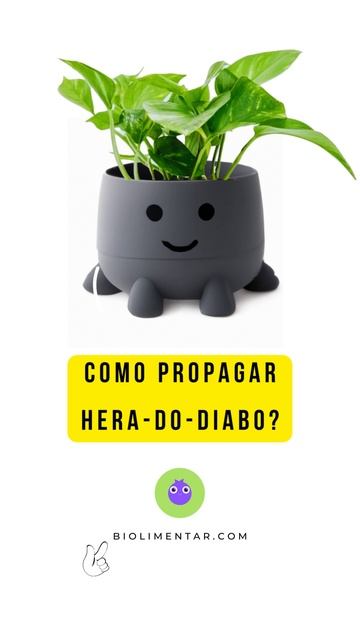 COMO PROPAGAR HERA-DO-DIABO? смотреть онлайн