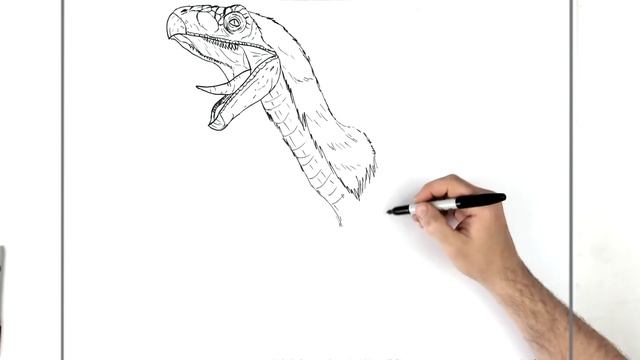 How To Draw Therizinosaurus | Step By Step | Jurassic World Dominion