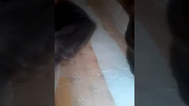 Я чмо смотреть онлайн
