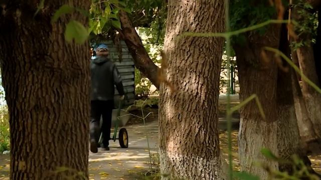 Кленовая угроза / Екатеринбург смотреть онлайн