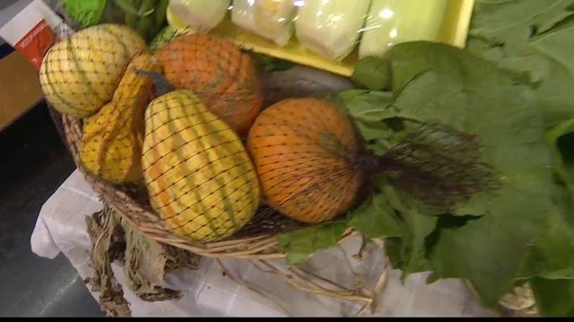 Aloun Farms Pumpkin Festival starts this weekend! смотреть онлайн