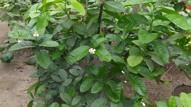 5 квітня мело🌨️ 6 квітня топить 🌧️ смотреть онлайн