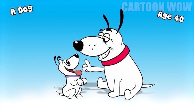Pink Panther Growing Up Compilation | Cartoon Wow смотреть онлайн