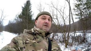 Загонная охота на кабана