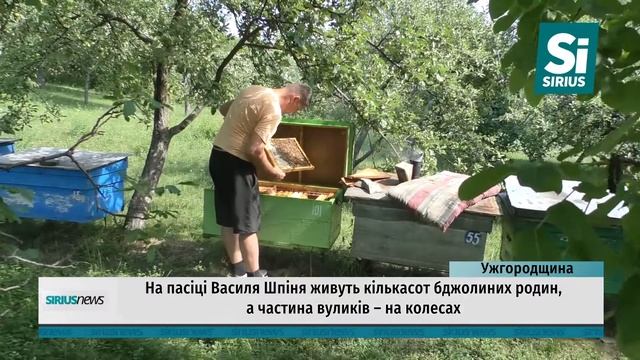 Пасіка на колесах