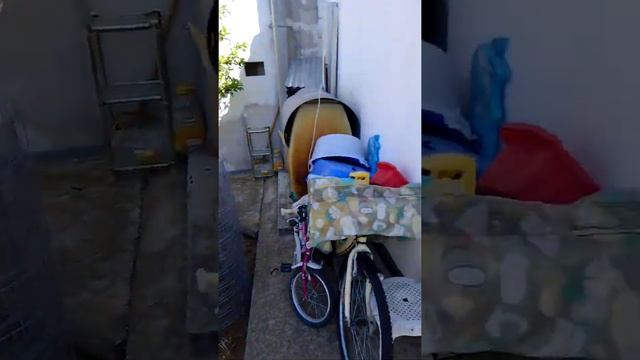 Распускаются цветы, обходим мой участок, делимся, красавицы как невесты!!!