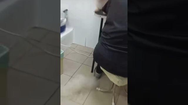 Мой Лучик посетил стилиста.✨ 😁 смотреть онлайн