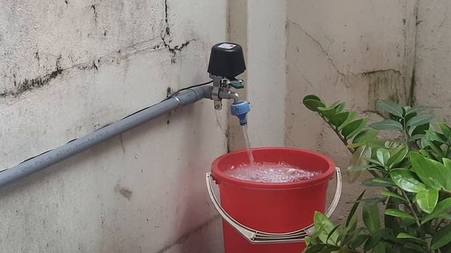 Smart Water Valve - Alexa controlled смотреть онлайн