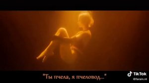Лучшая пародия на ПЕСНЮ"ПЧЕЛОВОД"