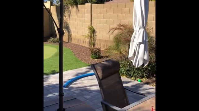The Turquoise House South Scottsdale | Vacation House Rental Review | Family Friendly | Arizona смотреть онлайн