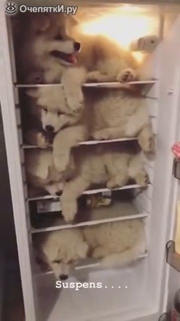 КАК ОХЛАДИТЬСЯ В ЖАРУ смотреть онлайн