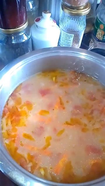 Лёгкие щи из кислой капусты Елена Санкт-Петербург . смотреть онлайн