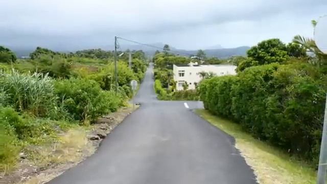 Sega - Gato Piment Samoussa смотреть онлайн