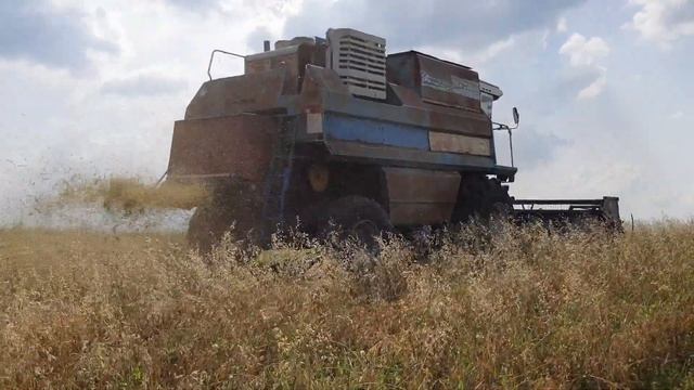 КЗС-9.1 Славутич . Жнива 17.07.2021 Горох .Хмельницька область смотреть онлайн