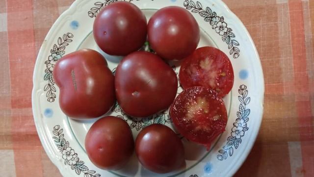 Томат гном Бархатная ночь. г. Киров. Ватсап, Вайбер т. 89229284031 смотреть онлайн