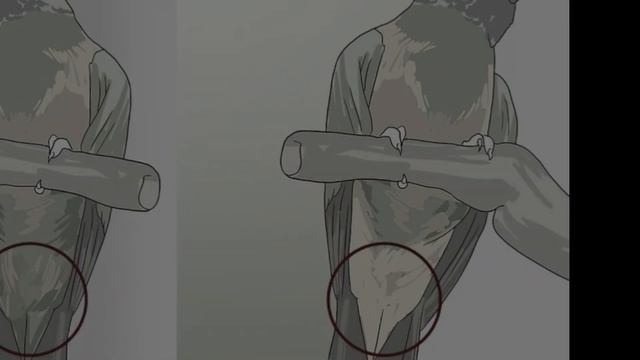 how to difference between male and female in all parrots urdu/hindi смотреть онлайн