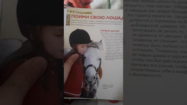 Показываем книжку про лашадей и пони