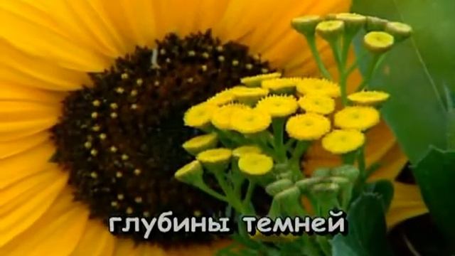 КАРАОКЕ 044 ОЧИ ЧЕРНЫЕ СЛИЧЕНКО Н Karaoke133 смотреть онлайн