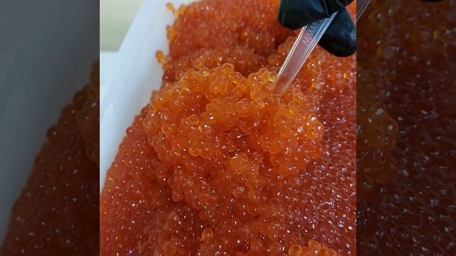 Ваууу 🤩🤩🤩Аууууф икра 😙👌Икра горбуши охлажденная /малосольная 1кг /5200₽/ тара 30р =5230Акция 🎊🎉🥳