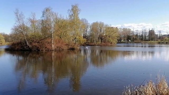 Санкт-Петербург. Южно-Приморский парк, "Пруд Восьмёрка". 1.05.2023. смотреть онлайн