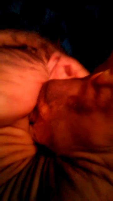 Кошка сосёт сама себя смотреть онлайн