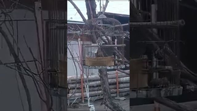 4 февраля 2024 г. смотреть онлайн