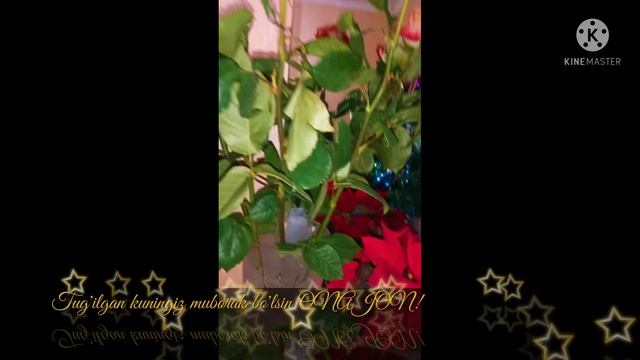 Tugilgan kuningiz muborak bo'lsin ONAJON! смотреть онлайн