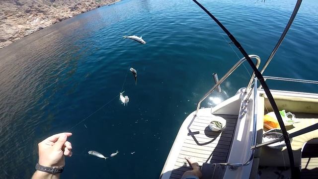 Морская рыбалка смотреть онлайн