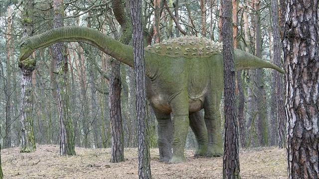 Saltasaurus Tribute смотреть онлайн