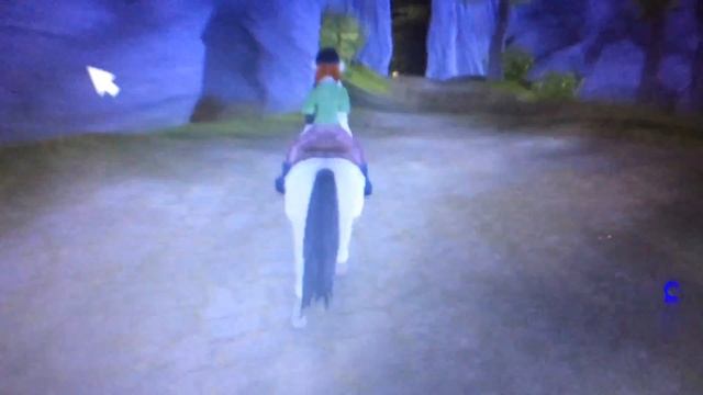 Первое видео// Что новая лошадь?