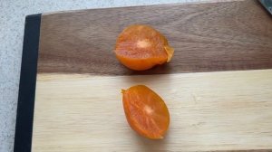 Хурма сорт Прок. Persimmon Prok