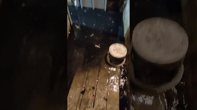 3 июля 2023 г. смотреть онлайн