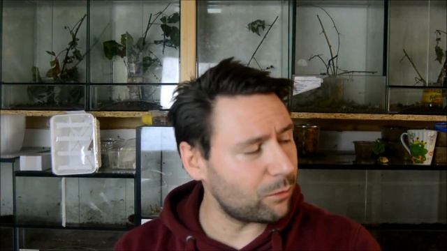 Vorbereitung Für Die Börse Vlog