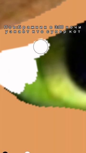 #феликсизледибак #суперкот #багажник #бражник смотреть онлайн