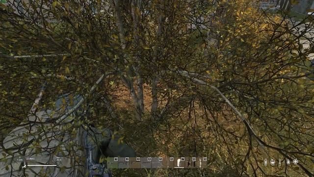Пвп моменты в DayZ №11 смотреть онлайн