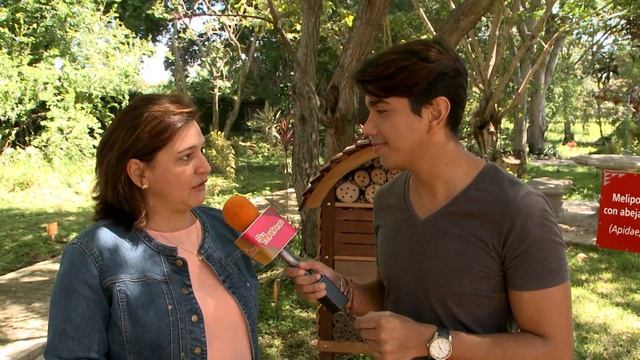 Su Mañana - Hotel de abejas 04 de Agosto - Canal 9 смотреть онлайн