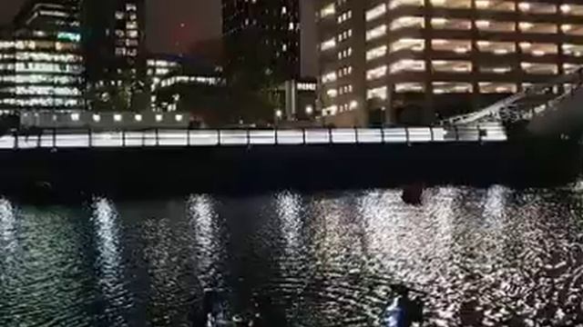 Scuba Dive at Albert Dock - Palaemon Divers смотреть онлайн