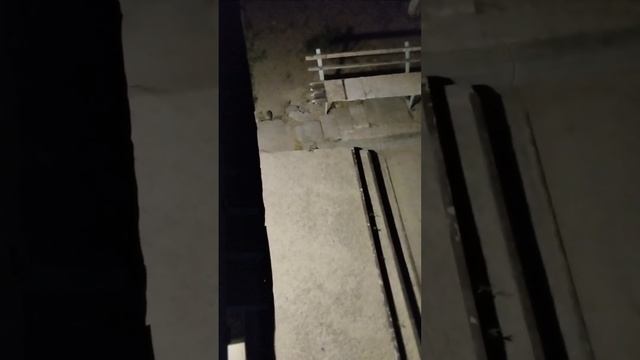 Ночной гость смотреть онлайн