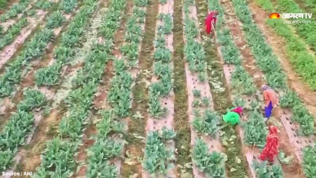 PM Kisan Yojana 16th Installment: पीएम मोदी जारी करेंगे किसान सम्मान निधि की 16वीं किस्त смотреть онлайн