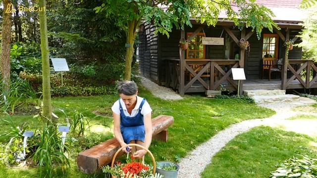 Dżem jarzębinowo jabłkowy dla koneserów, osoby lubiące słodkości będą gorzko rozczarowane. смотреть онлайн