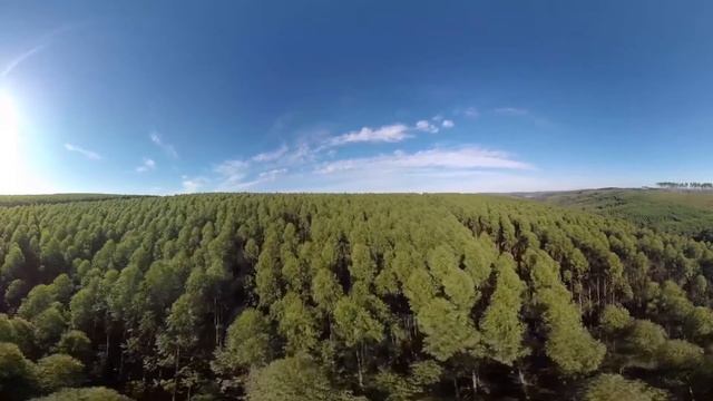 Videocase - Jornada Tetra Pak | VR Experience смотреть онлайн